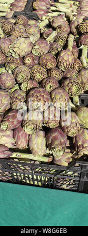 box of fresh artichokes freshly picked for sale at the greengrocer's stall in the local street market Stock Photo
