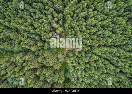 The Central Bohemian Region is an administrative unit of the Czech Republic, located in the central part of its historical region of Bohemia. Stock Photo