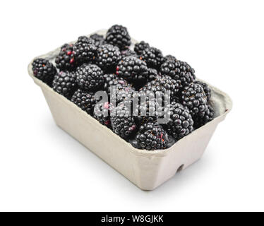Fresh blackberry in a paper carton isolated on a white background, clipping path included Stock Photo