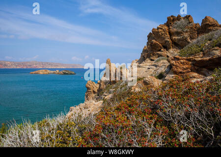 Vai beach - popular tourist destination in Crete, Greece Stock Photo