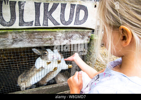 child feeding bunnies Stock Photo