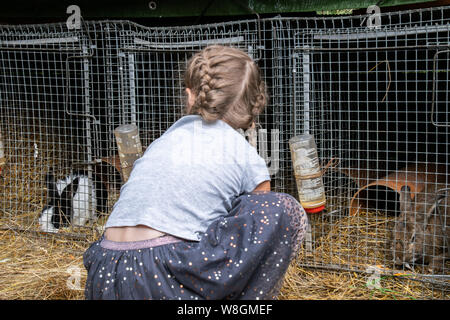 Girl feeding bunnies Stock Photo