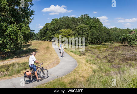 People riding bicycles in national park Dwingelderveld, Netherlands Stock Photo