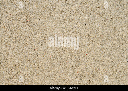 Top view of sandy beach. Background with copy space and visible sand texture. Stock Photo