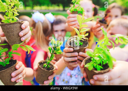 A People Hands Cupping Plant Nurture Environmental. Stock Photo