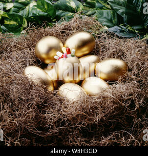 Gold eggs in nest Stock Photo