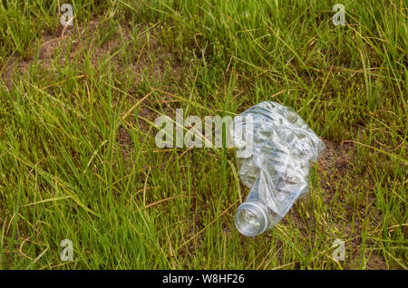 Plastic drink bottle laying in green grass. Bottle is crushed and made of clear plastic. Stock Photo