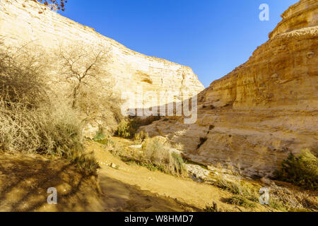 View of the Canyon of Ein Avdat National Park, the Negev Desert, Southern Israel Stock Photo