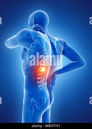 3d rendering medical illustration of the vertebral bone Stock Photo - Alamy