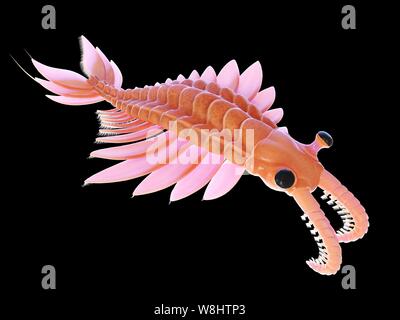 Anomalocaris, computer illustration. Stock Photo