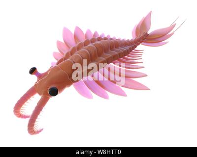 Anomalocaris, computer illustration. Stock Photo