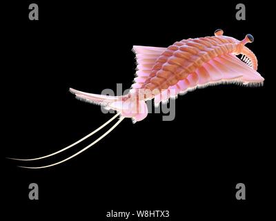 Anomalocaris, computer illustration. Stock Photo