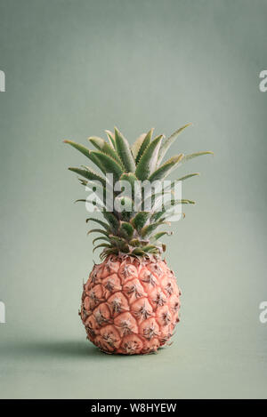 Fresh ripe whole pineapple fruite on green background Stock Photo