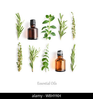 Bottles with essential oils and fresh herbs: rosemary, oregano, thyme and peppermint isolated on white background. Stock Photo