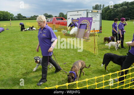 Dog show competition in UK Stock Photo