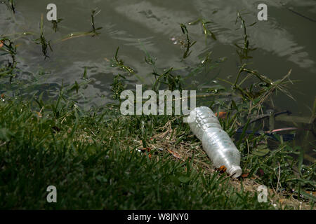 Plastic waste is washed up on the lake shore. A plastic bottle and plastic fork rest among the grass. Stock Photo