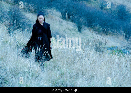 Handout still of the movie 'The Assassin' featuring Taiwanese actress Shu Qi.   A movie about a highly-trained female assassin swept the Asian Film Aw Stock Photo