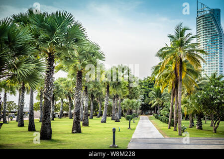 Wide road with tall palm trees and modern buildings in Pattaya, Thailand. Buildings and trees on a sunny day Stock Photo