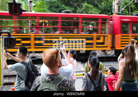 Tourist photograph and film a train going through the Arashiyama Bamboo Grove also known as the Sagano Bamboo Forest, located in western Kyoto, Japan. Stock Photo