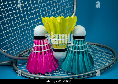 Colorful feathered shuttlecocks in blue, yellow and pink and badminton rackets on blue background in a close up view Stock Photo