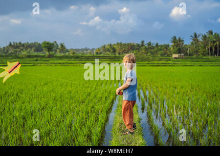 Tourist boy launches a kite in a rice field. Traveling with children concept. Kids friendly place Stock Photo