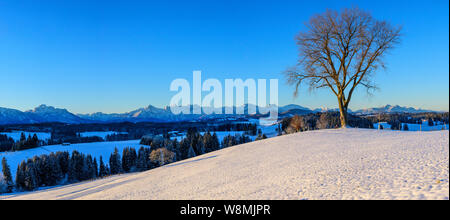 Cold morning at  a november winter day in southern bavaria Stock Photo