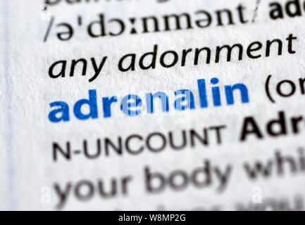 MONTREAL, CANADA - JULY 17, 2019: adrenalin word in a dictionay with meaning. Close-up and selective focus. Stock Photo