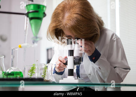 Female in microbiological industry adjusting her microscope. Woman working in a plant factory. Stock Photo