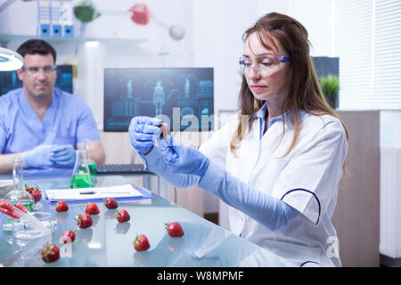 Female scientist and her assistant working on a cure for strawberries parasites. Scientist wearing safty gear. Stock Photo
