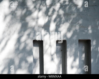 Solar glare and shadows on the wall from the leaves. Stock Photo