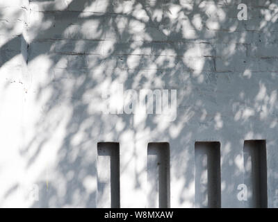 Solar glare and shadows on the wall from the leaves. Stock Photo