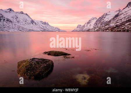 Pink sunset over Fjord with rocks in front and snowy mountains in background, Ersfjord, Norway Stock Photo