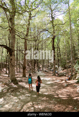 Two young woman walking on a tall forest in autumn Stock Photo