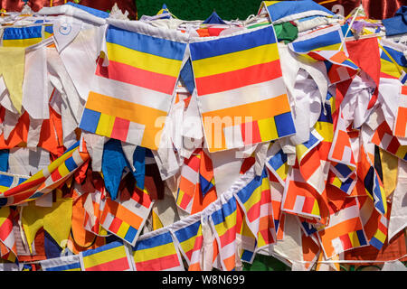 Buddhist prayer flags at the Mulagandha Kuti Vihara temple in Sarnath, near Varanasi, Uttar Pradesh, India, Asia, South Asia Stock Photo