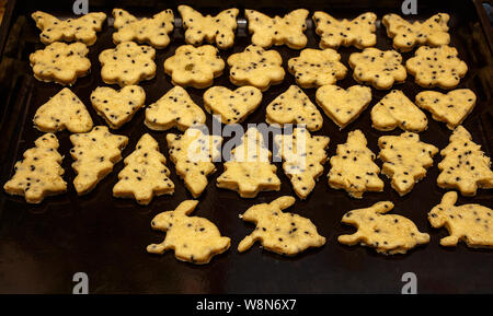cookies in a pastry shop Stock Photo
