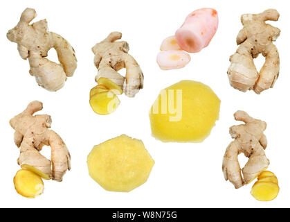 collage from fresh ginger roots and pickled galangal rhizome isolated on white background Stock Photo