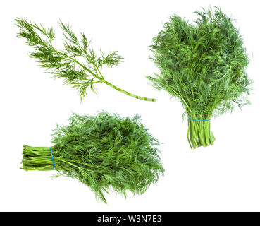 set from fresh green dill herb isolated on white background Stock Photo