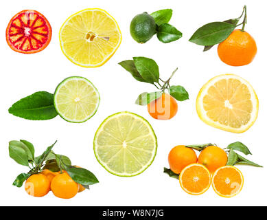 set of various fresh citruses isolated on white background Stock Photo