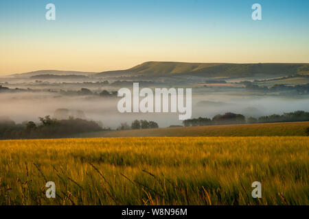 Looking over cornfields to early morning mist rising in the weald between Beddingham Hill and Firle Beacon, East Sussex 7 Stock Photo