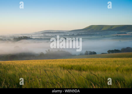 Looking over cornfields to early morning mist rising in the weald between Beddingham Hill and Firle Beacon, East Sussex 5 Stock Photo