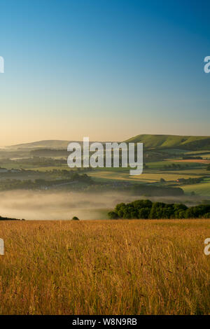 Looking over cornfields to early morning mist rising in the weald between Beddingham Hill and Firle Beacon, East Sussex 3 Stock Photo