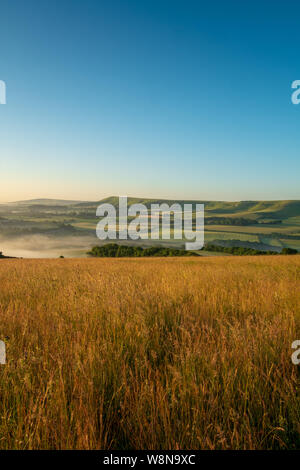 Looking over cornfields to early morning mist rising in the weald between Beddingham Hill and Firle Beacon, East Sussex 2 Stock Photo