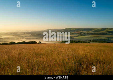 Looking over cornfields to early morning mist rising in the weald between Beddingham Hill and Firle Beacon, East Sussex 1 Stock Photo
