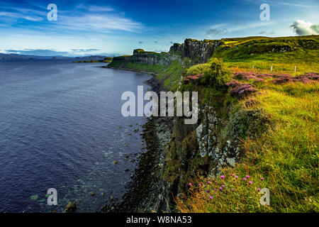 Coastal Landscape With Heather Near Kilt Rock On The Isle Of Skye In ...