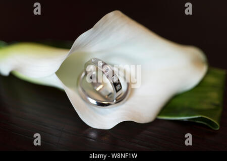 Wedding Rings in a Zantedeschia flower Stock Photo