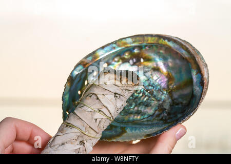 Smudging Ritual using burning thick leafy bundle of White Sage in bright polished Rainbow Abalone Shell on the beach at sunrise in front of the lake. Stock Photo