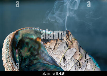 Smudging Ritual using burning thick leafy bundle of White Sage in bright polished Rainbow Abalone Shell on the beach at sunrise in front of the lake. Stock Photo