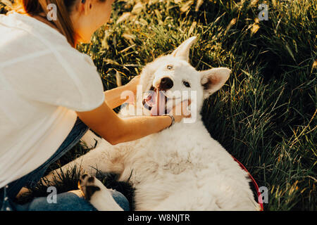 From above shot of unrecognizable woman petting and playing with sweet white dog on grass in nature Stock Photo