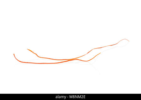 Group of two whole red chili pepper threads macro isolated on white background Stock Photo