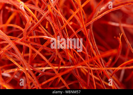 Lot of whole red chili pepper threads macro flatlay isolated Stock Photo